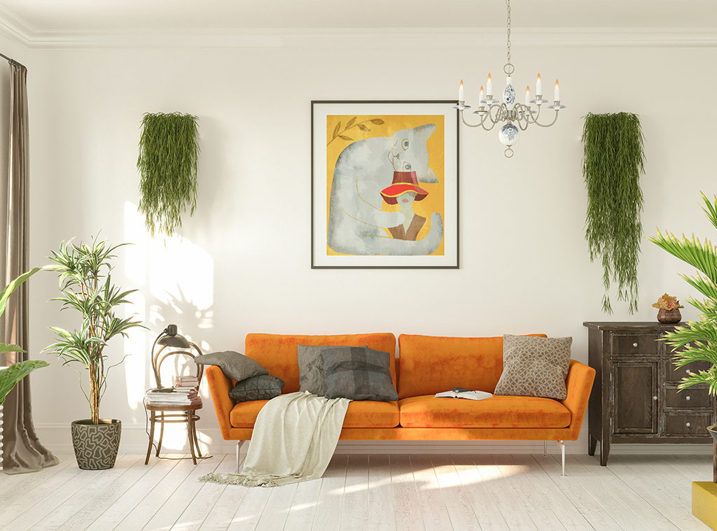 Amazon online home decor